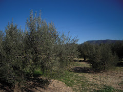 Cooperativa de Viver